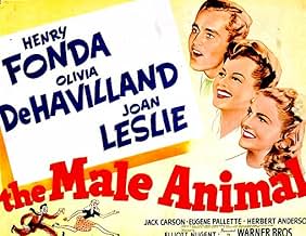 Famous quotes from Hollywood movie : The Male Animal (1942)