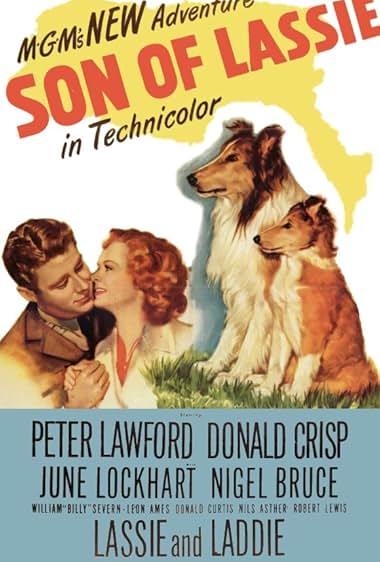 Famous quotes from Hollywood movie : Son of Lassie (1945)