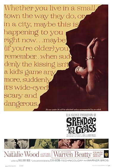 Famous quotes from Hollywood movie : Splendor in the Grass (1961)