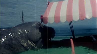 Famous quotes from Hollywood movie : Up from the Depths (1979)