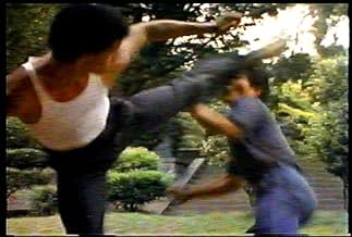 Famous quotes from Hollywood movie : Sakura Killers (1987)