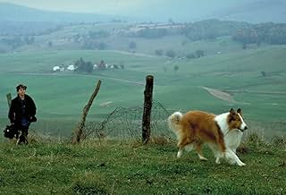 Famous quotes from Hollywood movie : Lassie (1994)