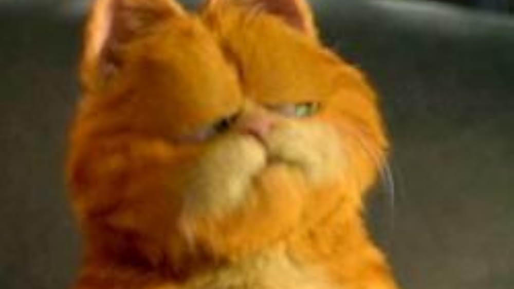 Famous quotes from Hollywood movie : Garfield (2004)